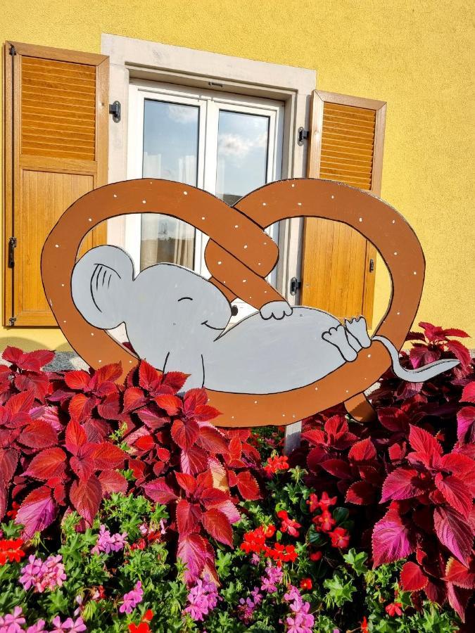 Cosy Bretzel Apartment Gresswiller ภายนอก รูปภาพ